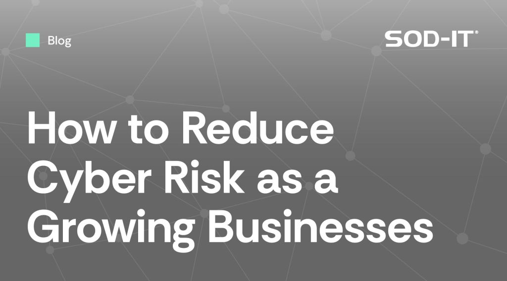 how to reduce cyber risk as a growing business
